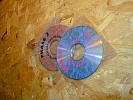 CD