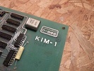KIM-1
